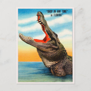 Grüße von Florida Alligator Vintage Travel Postkarte