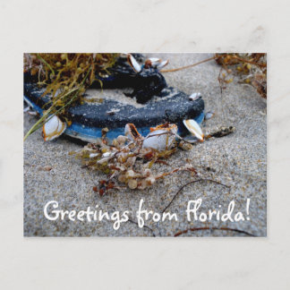 Grüße von Florida Postcard Postkarte