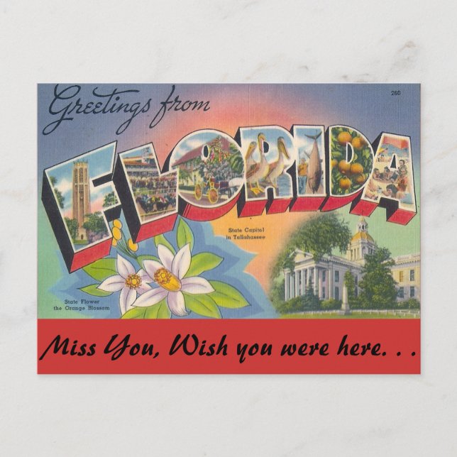 Grüße von FLORIDA Postkarte (Vorderseite)