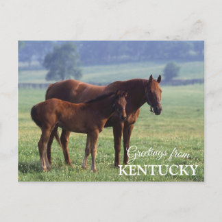 Grüße von Kentucky Postkarte