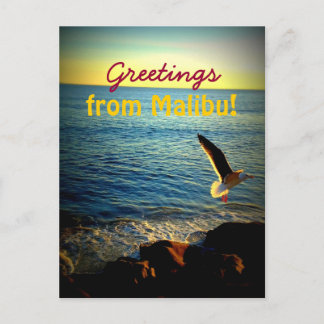 Grüße von Malibu! Postkarte