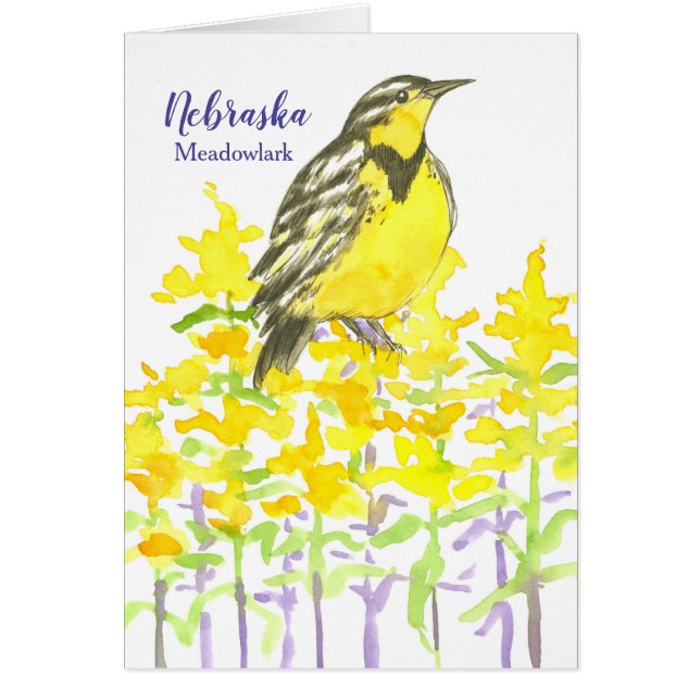 Grüße von Nebraska Meadowlark Goldenrod (Vorne)