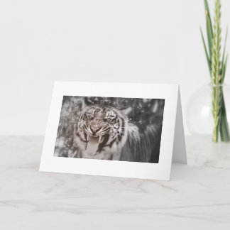 Grüße von Pride Rock Karte