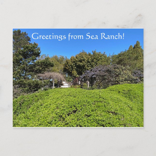 Grüße von Sea Ranch! Postkarte (Vorderseite)