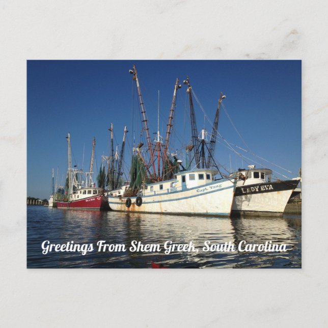 Grüße von Shem Creek, South Carolina Postkarte (Vorderseite)