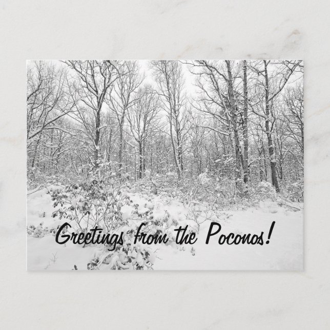 Grüße von Snowy Poconos Postkarte (Vorderseite)