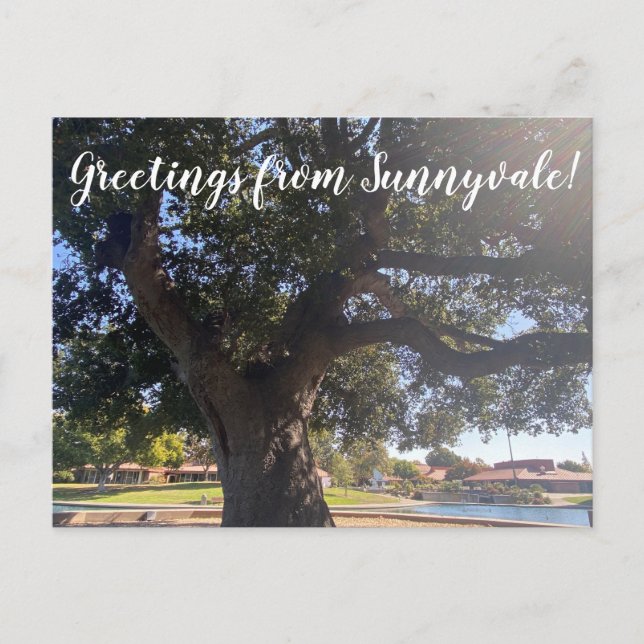 Grüße von Sunnyvale! Postkarte (Vorderseite)