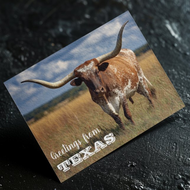 Grüße von Texas Longhorn Bull Postkarte (Von Creator hochgeladen)