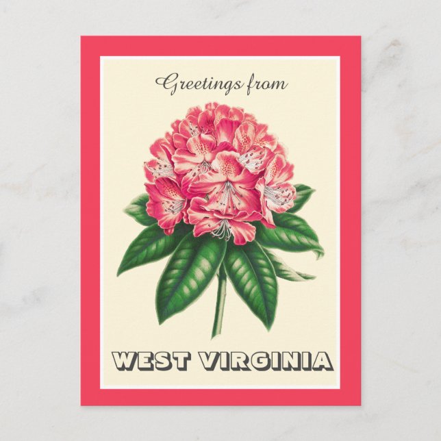 Grüße von West Virginia Rhododendron Postkarte (Vorderseite)