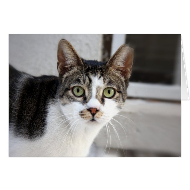 Grußkarte (Vorderseite (Horizontal))