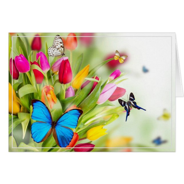 Grußkarte (Vorderseite (Horizontal))