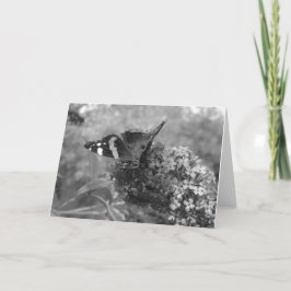 Grußkarte - Admiral Schmetterling in Schwarz & Wei Karte