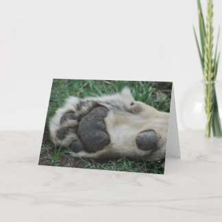Grußkarte "African Lion Paw" Karte
