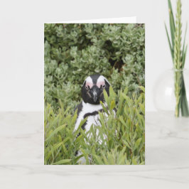 Grußkarte - Afrikanischer Pinguin Karte