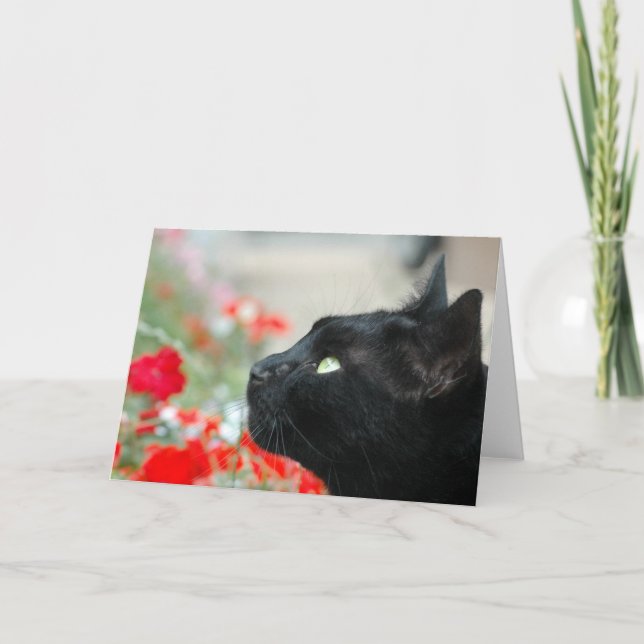 Grußkarte - Ansehen Karte (Vorderseite)