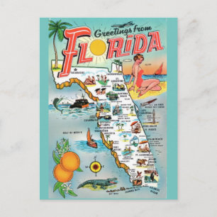 Grußkarte aus Florida Postkarte