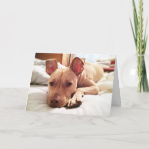 Grußkarte aus geklapptem Leon Karte