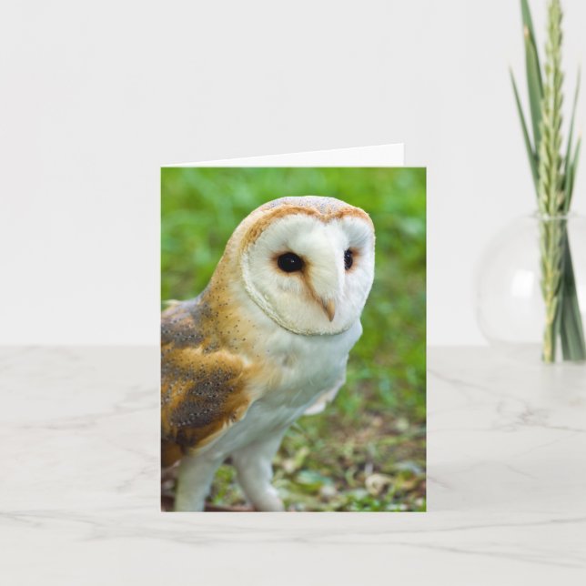 Grußkarte "Barn Owl" Dankeskarte (Vorderseite)