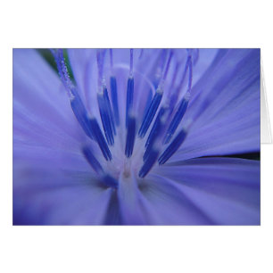 Grusskarte, blaue Blütenmitte