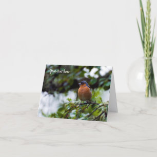 Grußkarte Buchfink Vogel Dankeskarte