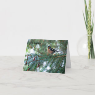 Grußkarte Buchfink Vogel Dankeskarte