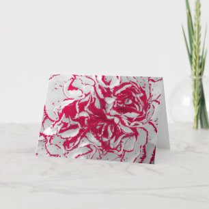 Grußkarte - Carnation in Rot und Weiß Karte