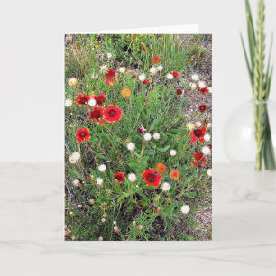 Grußkarte Colorado Wildblumen Karte