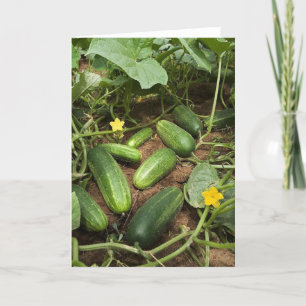 Grußkarte Cucumber Patch Karte