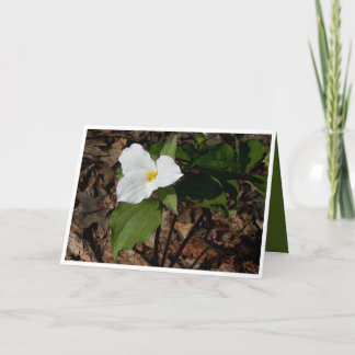 Grußkarte der philosophischen Blume Karte