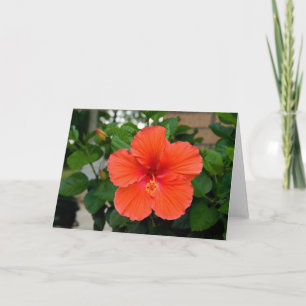 Grußkarte der roten Blume Karte