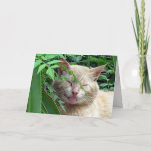 Grußkarte des Bestien Karte