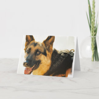 Grußkarte des deutschen Schäferhundes Foto Karte