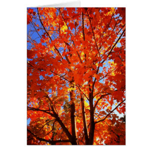 Grußkarte des Herbstes