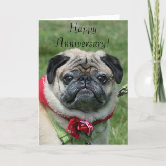 Grußkarte des Mops zum Geburtstag Karte