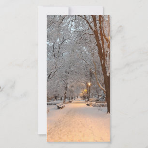 Grußkarte des Schneewinterparks Feiertagskarte