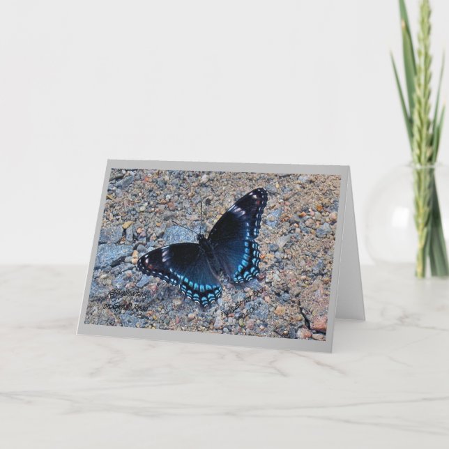 Grußkarte - Frack Butterfly Karte (Vorderseite)