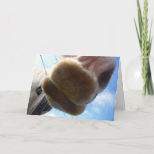 Grußkarte "Funny Horse" Karte