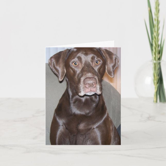 Grußkarte für alle Fälle individuell anpassbar Karte (Vorderseite)