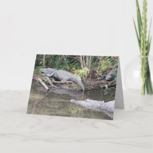 Grußkarte für Amerikaner Feiertagskarte