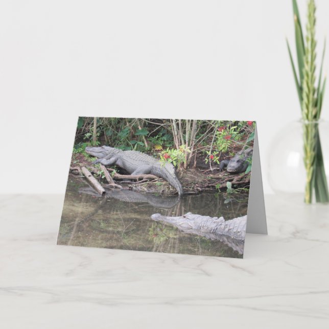 Grußkarte für Amerikaner Feiertagskarte (Vorderseite)