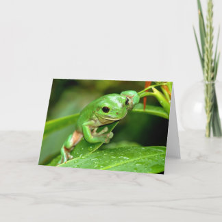 Grußkarte für das australische Green Tree Frog Fot Karte