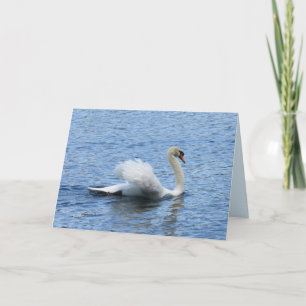 Grußkarte für das Foto von Swan Karte