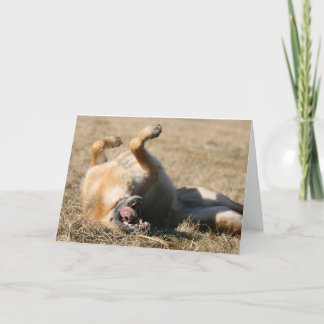 Grußkarte für den deutschen Schäferhund Karte