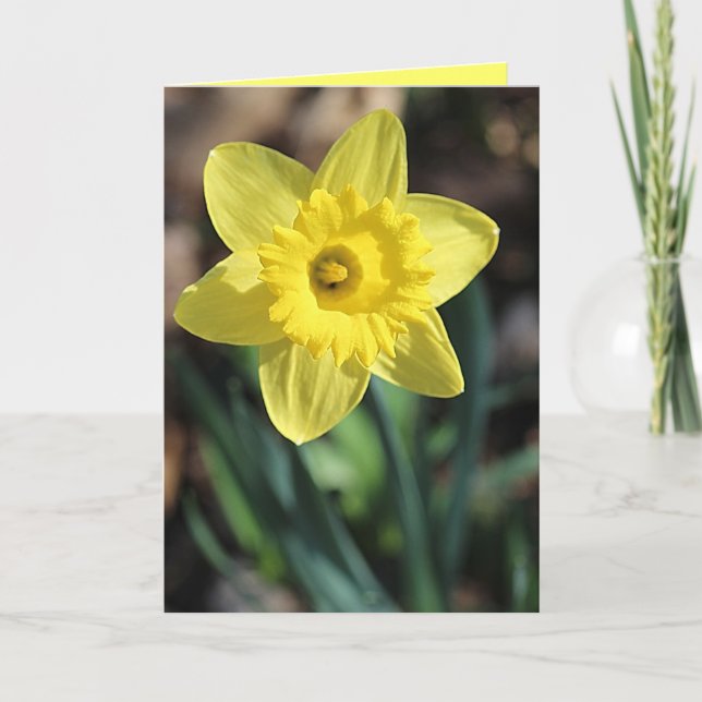 Grußkarte für den Frühling! Karte (Vorderseite)