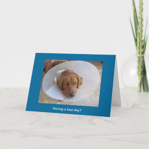 Grußkarte für den Golden Retriever Karte