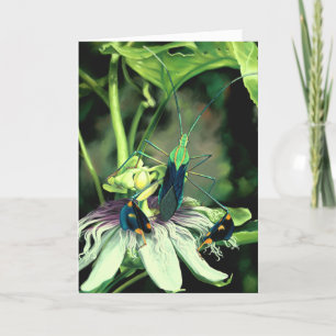 Grußkarte für die Passhöhe Blume Karte