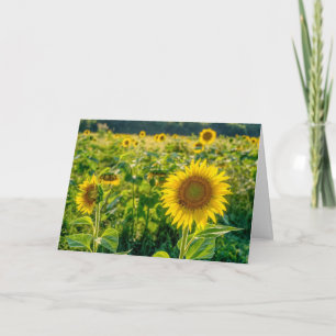 Grußkarte für goldene Sonnenblumen Karte