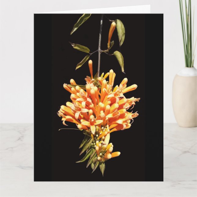 Grußkarte für große geklappte Blume Karte (Vorderseite)