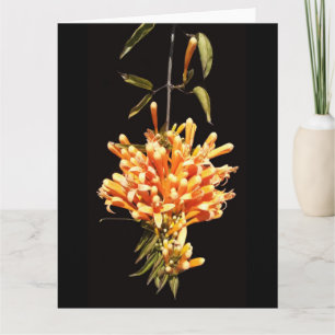 Grußkarte für große geklappte Blume Karte