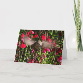 Grußkarte für Joyful Hummingbird Karte